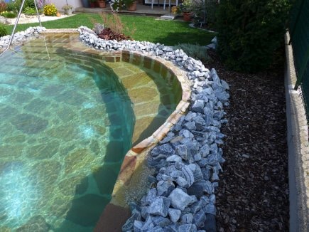 Detailansicht eines Naturpools
