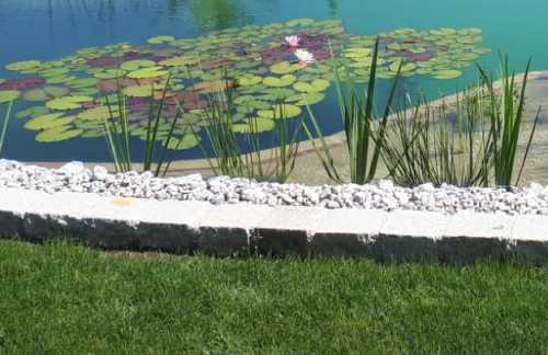 Schwimmteich mit ansprechender Granitumrandung