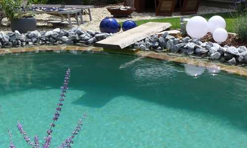 Sprungbrett für den eigenen Naturpool