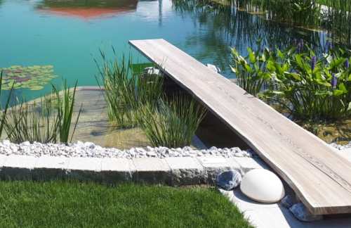 Sprungbrett für den Schwimmteich